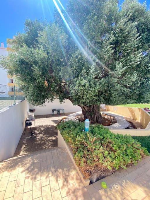 Your Holiday Home - Αλμπουφέιρα Εξωτερικό φωτογραφία