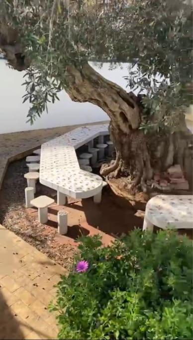 Your Holiday Home - Αλμπουφέιρα Εξωτερικό φωτογραφία